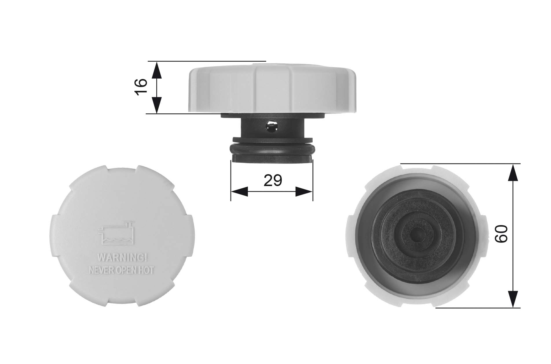 dangtelis, radiatorius - RC231 GATES
