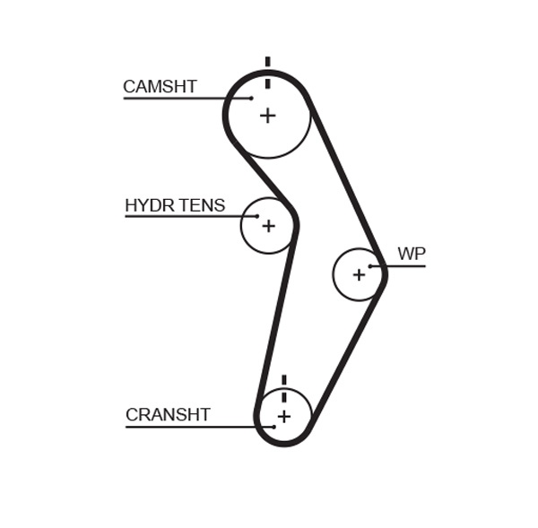 Timing Belt - T245 GATES