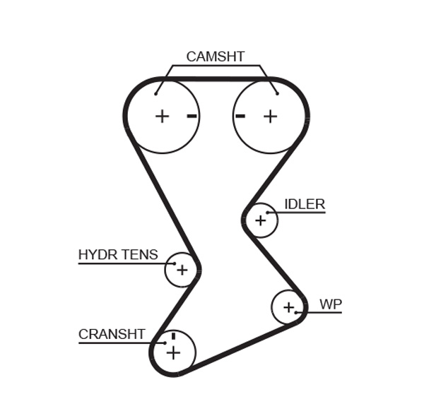Cinghia dentata - T246 GATES