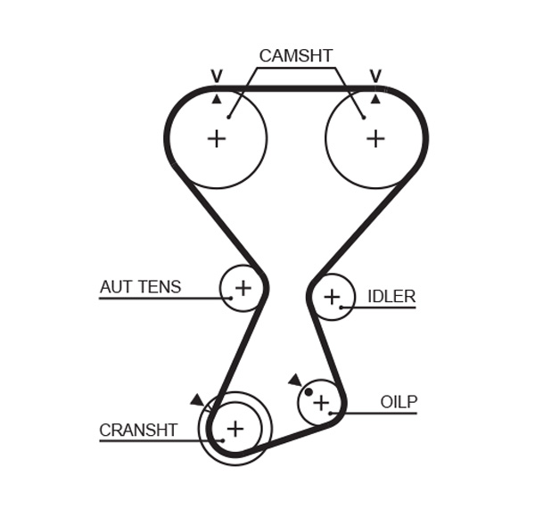 Timing Belt - T313 GATES