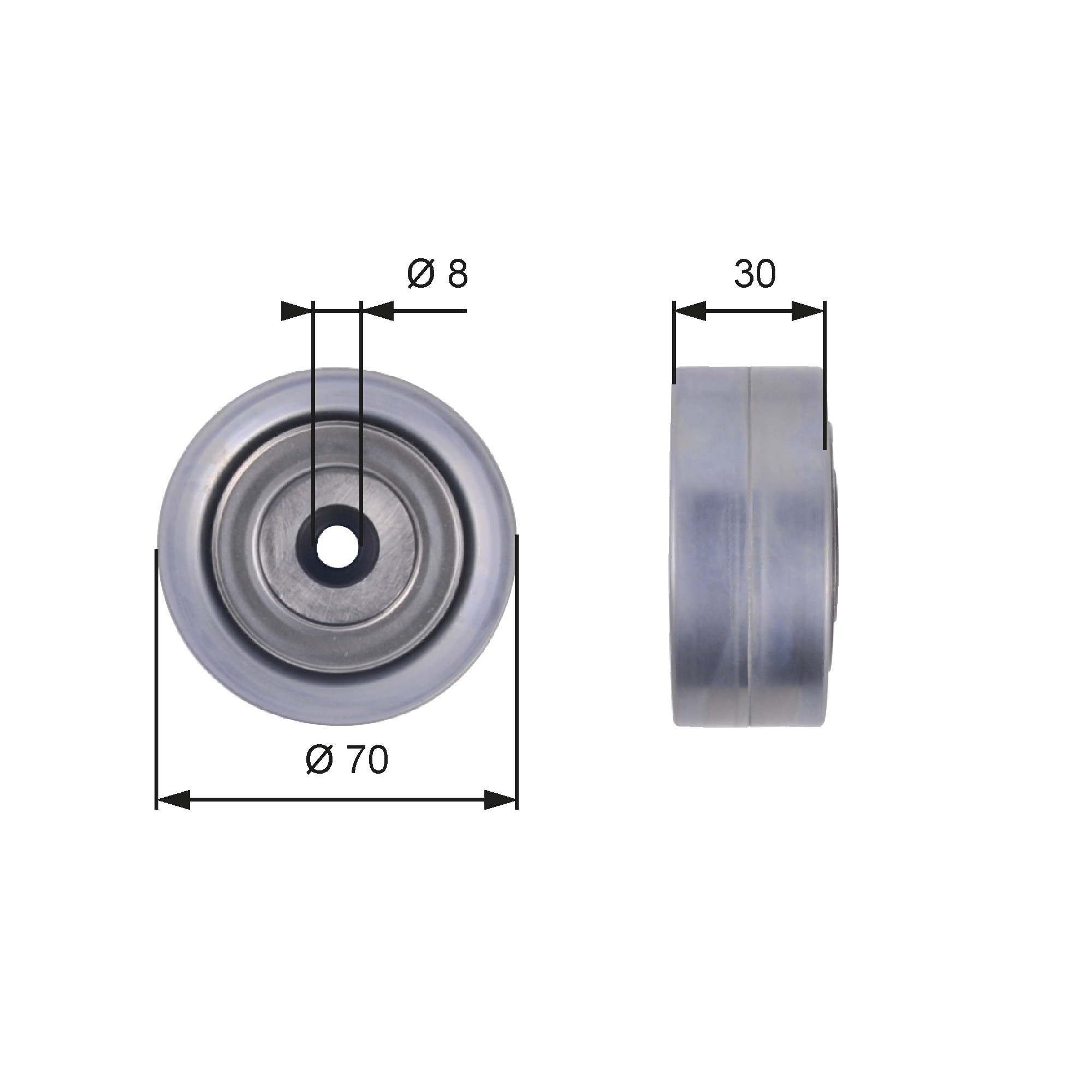 Galoppino/Guidacinghia, Cinghia Poly-V - T36386 GATES