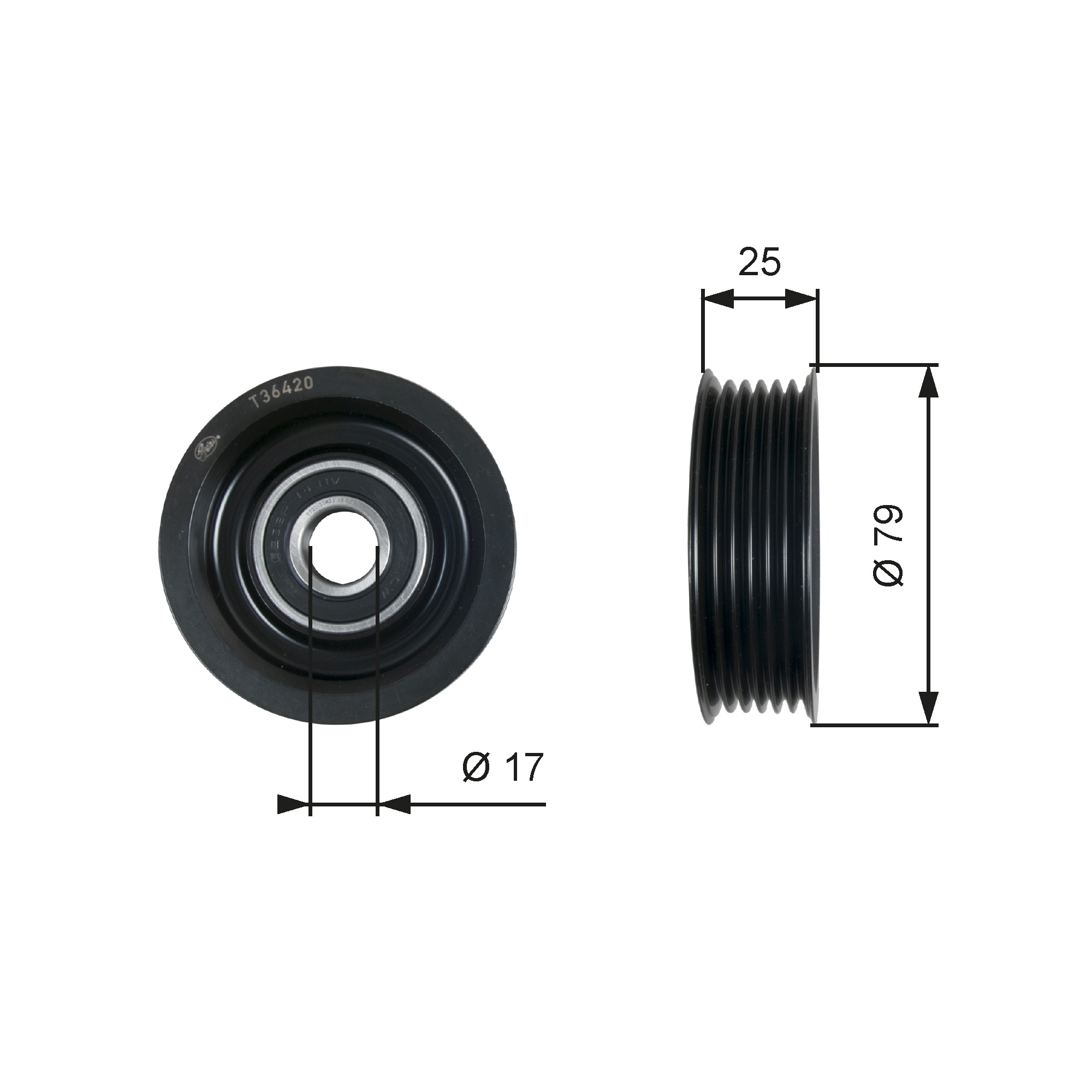 Deflection/Guide Pulley, V-ribbed belt - T36420 GATES