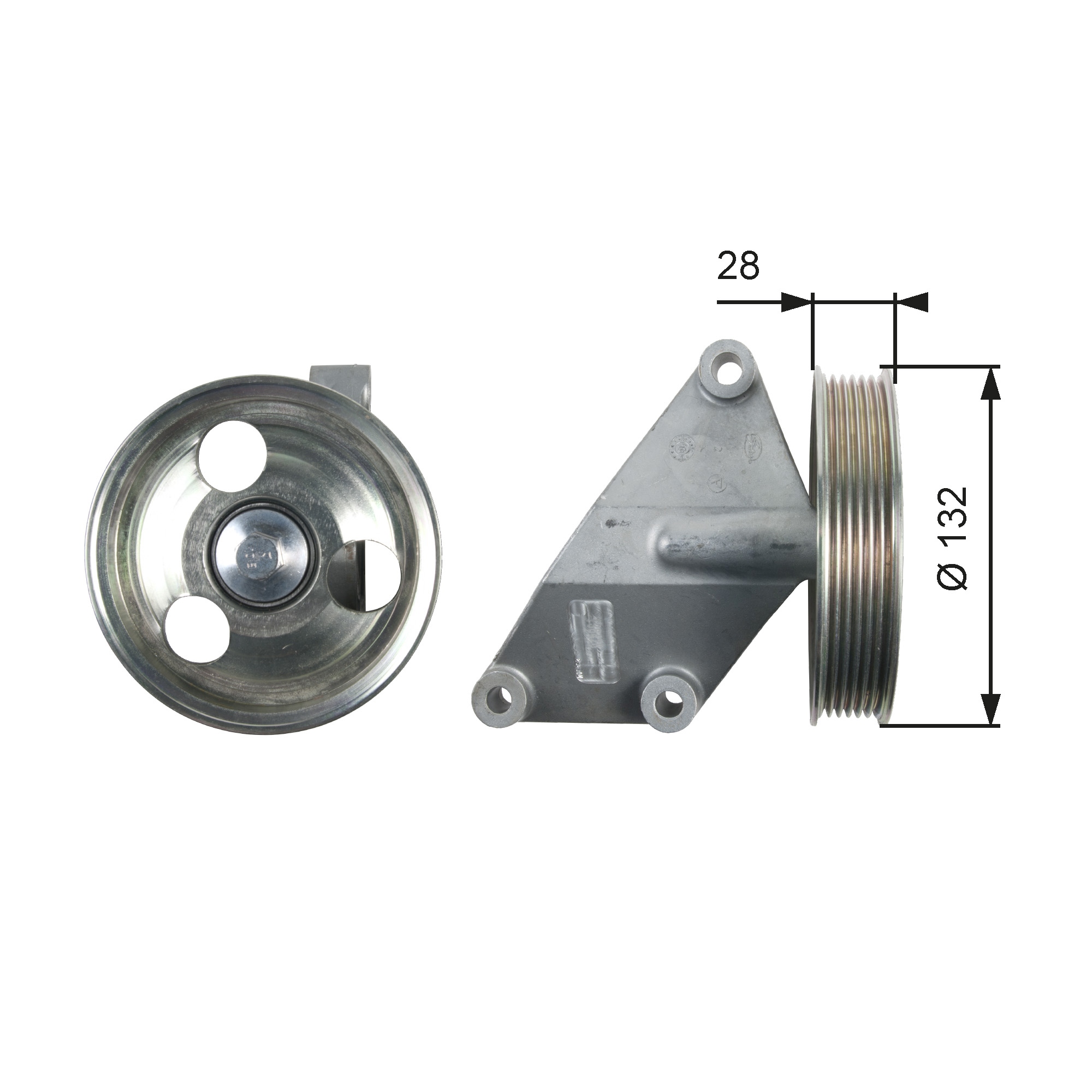 Galoppino/Guidacinghia, Cinghia Poly-V - T36428 GATES