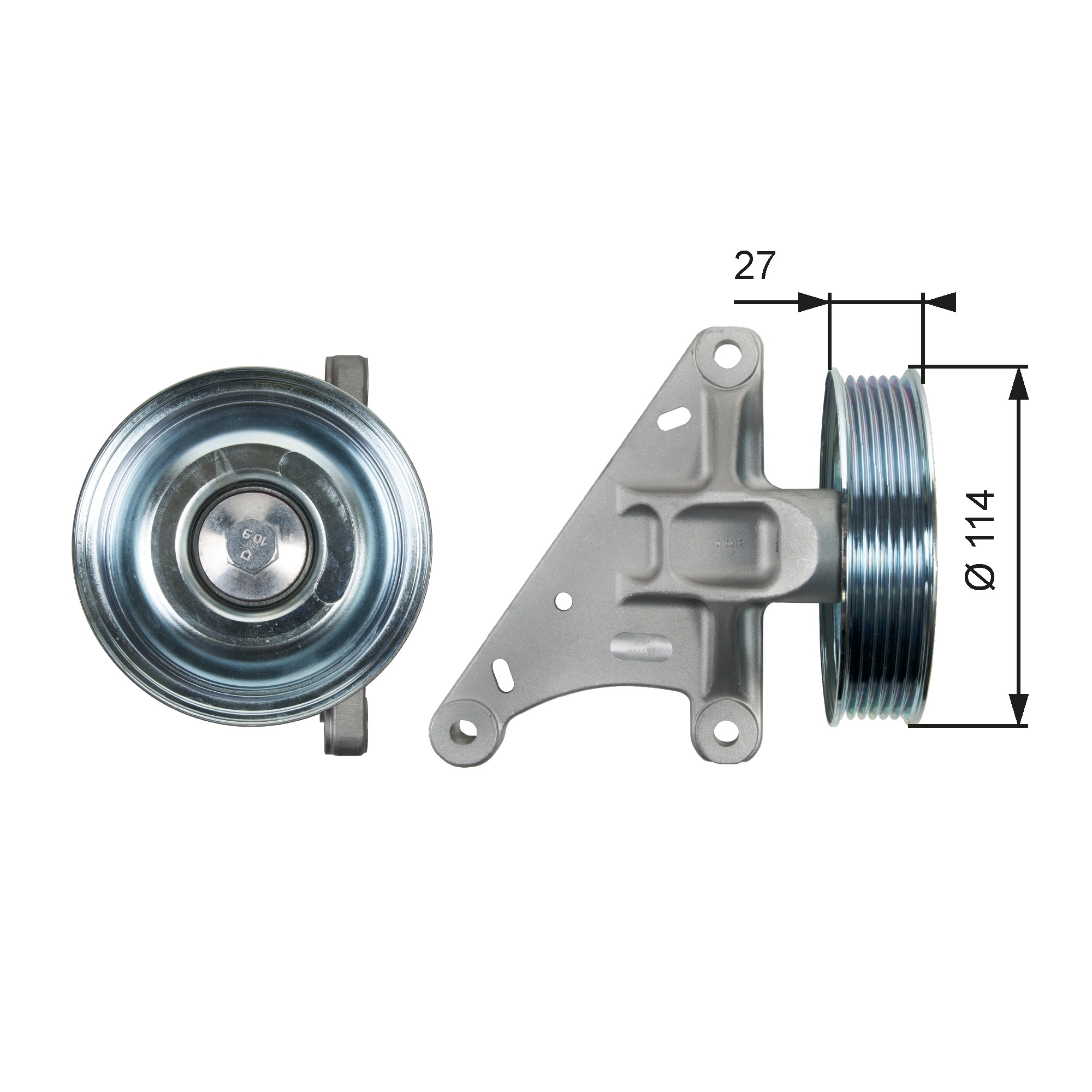 Galoppino/Guidacinghia, Cinghia Poly-V - T36429 GATES