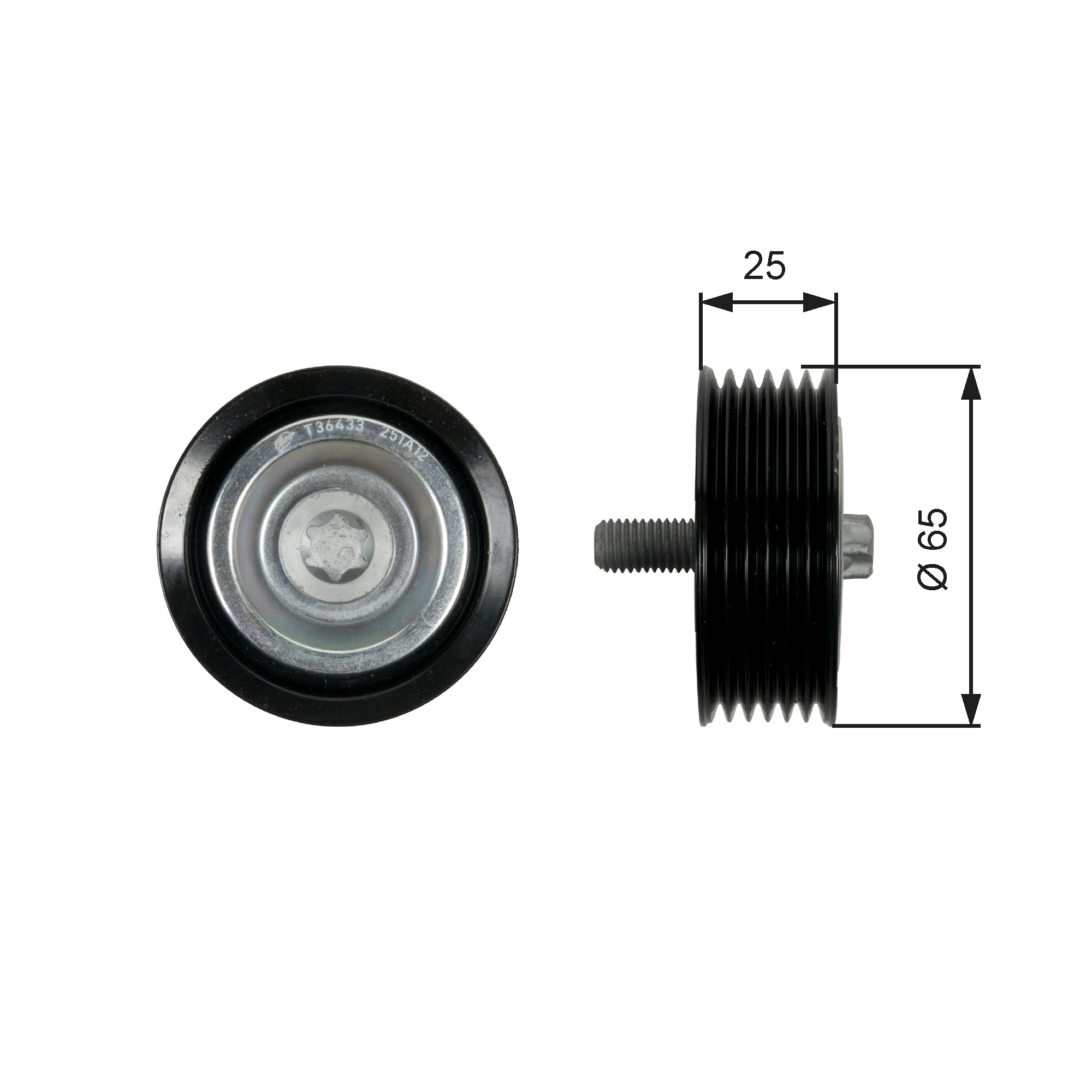 Galoppino/Guidacinghia, Cinghia Poly-V - T36433 GATES