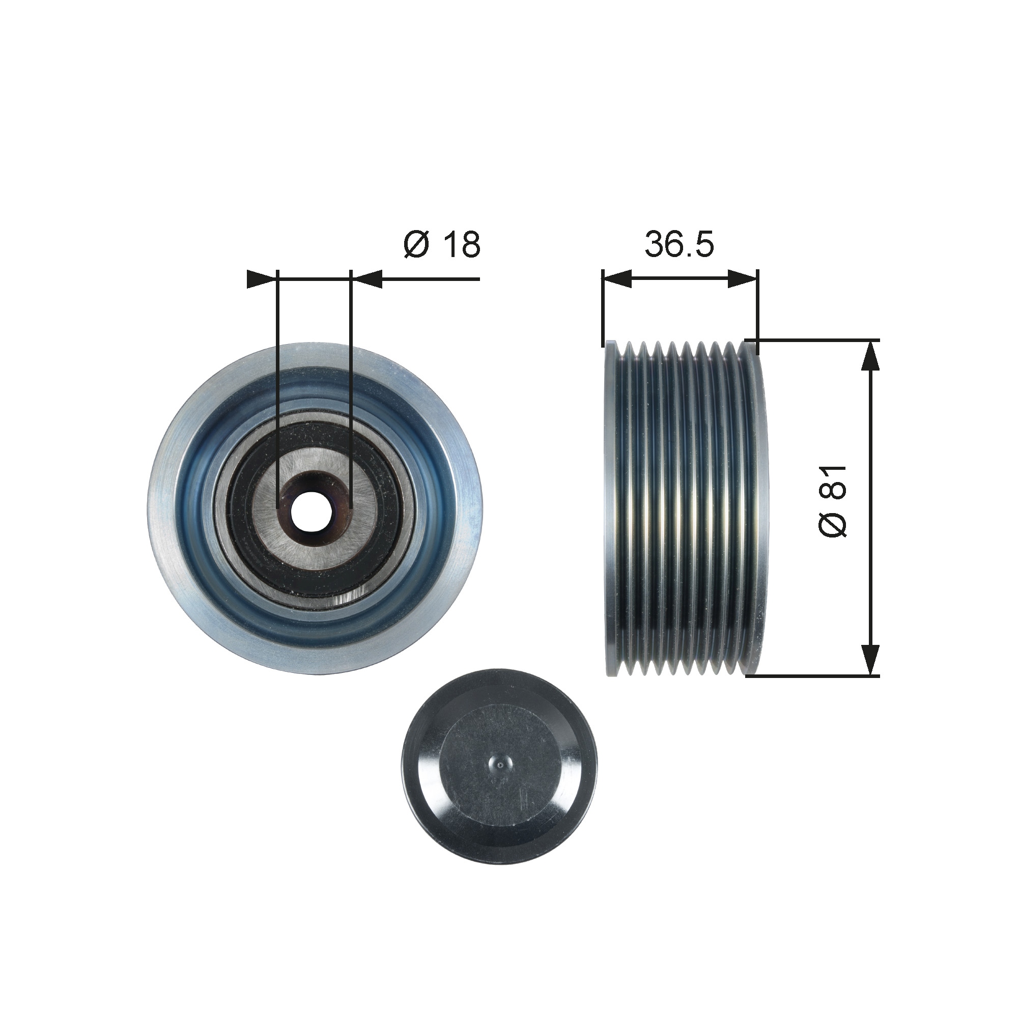 Deflection/Guide Pulley, V-ribbed belt - T36508 GATES
