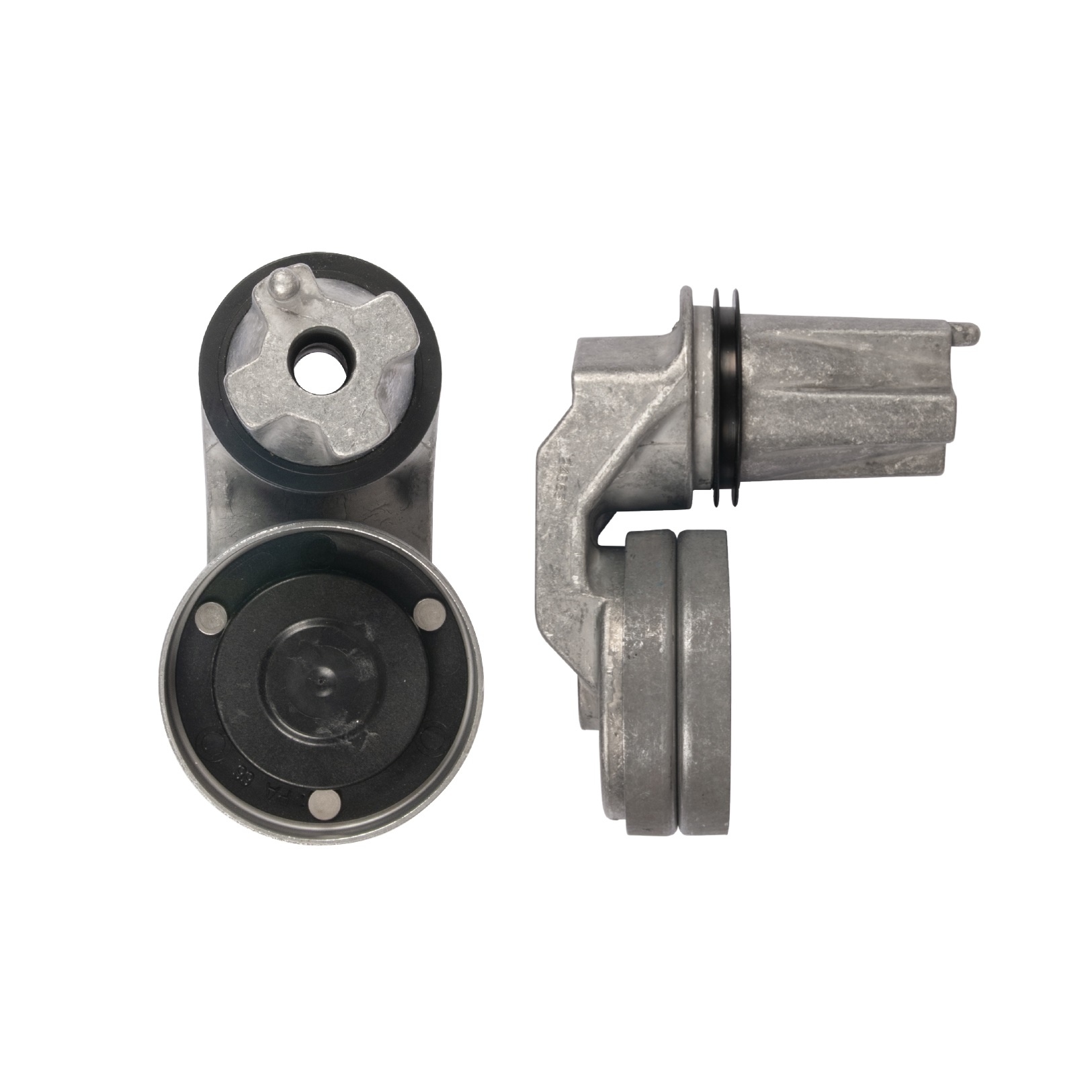 Galoppino/Guidacinghia, Cinghia Poly-V - T36790 GATES
