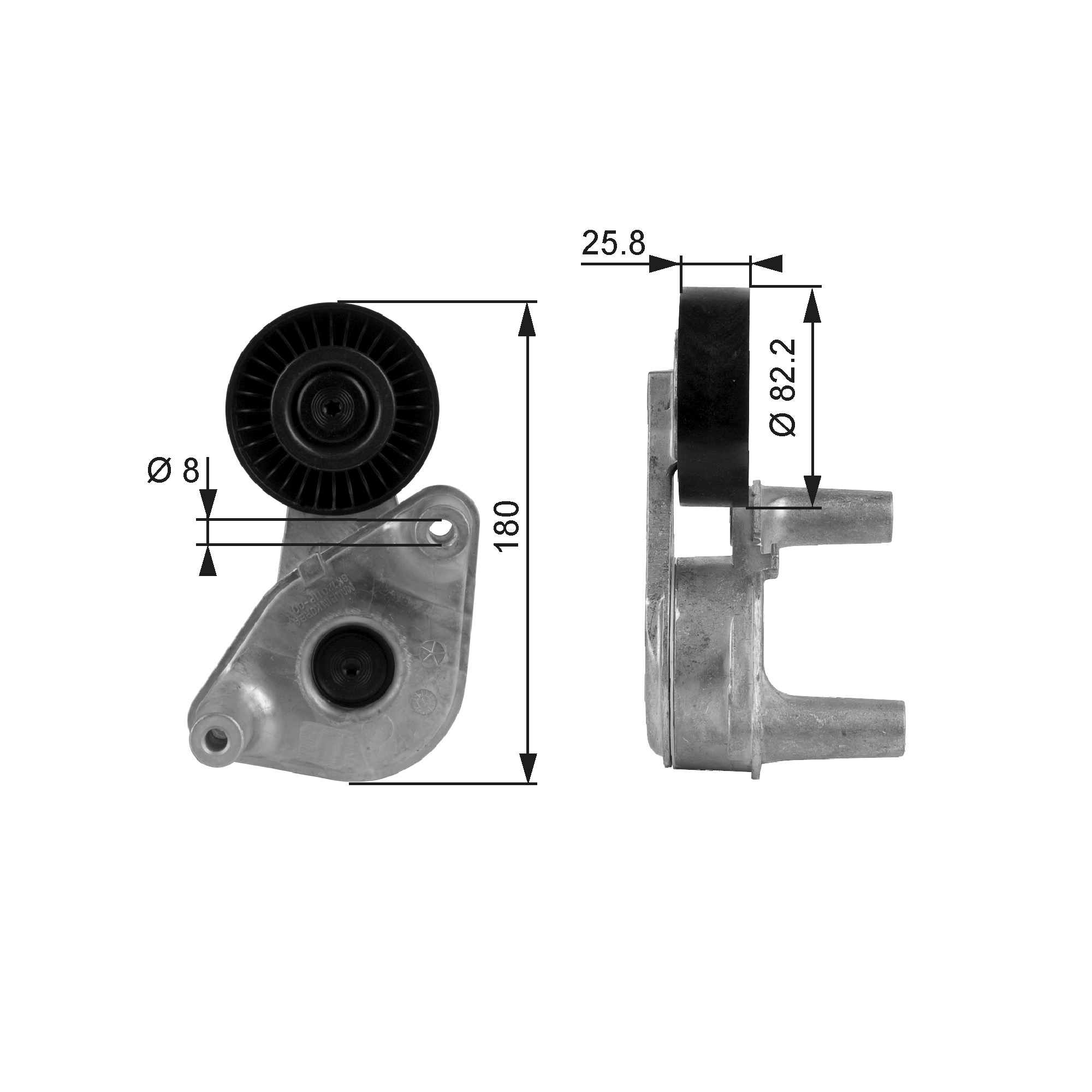 Tendicinghia, Cinghia Poly-V - T38149 GATES