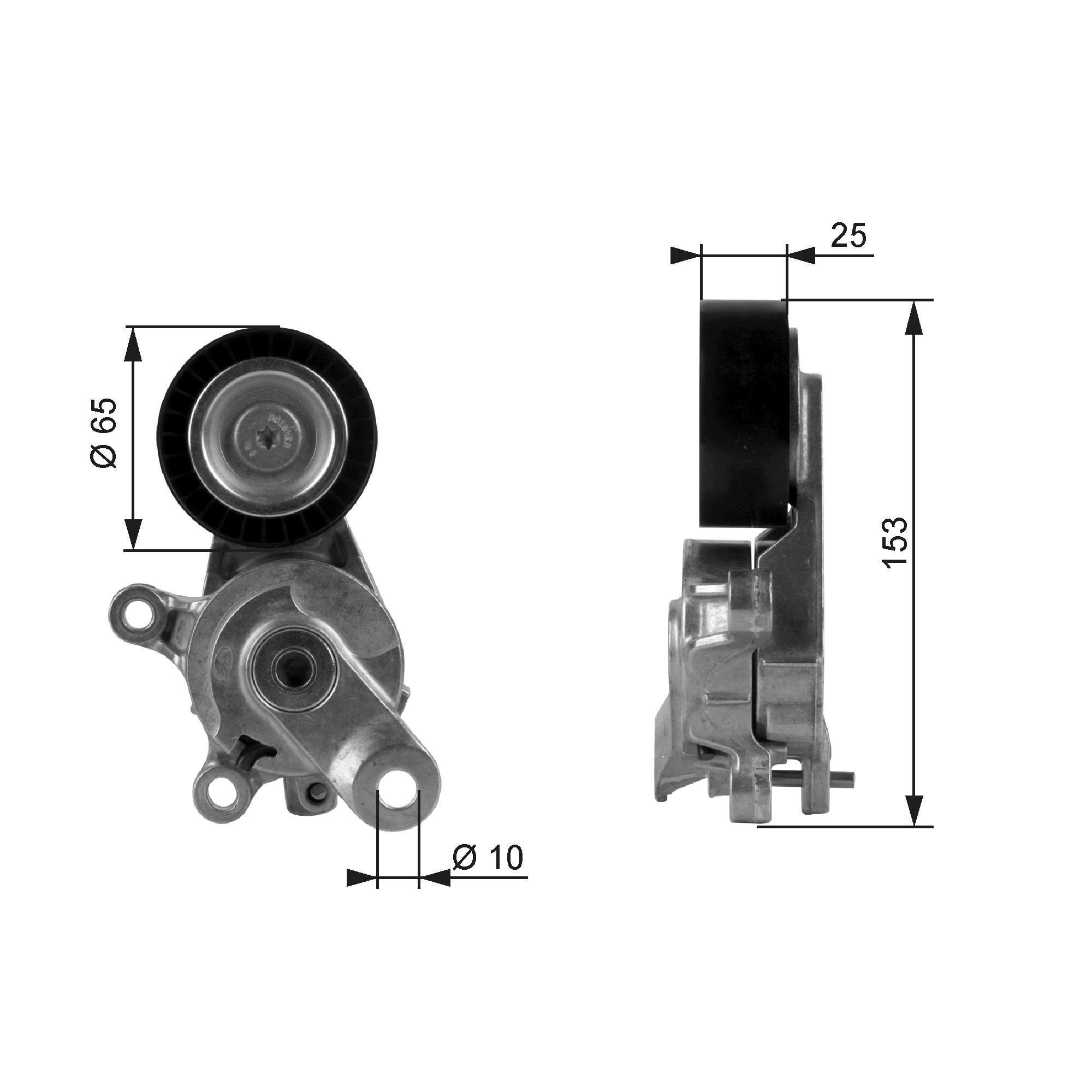 Tendicinghia, Cinghia Poly-V - T38209 GATES