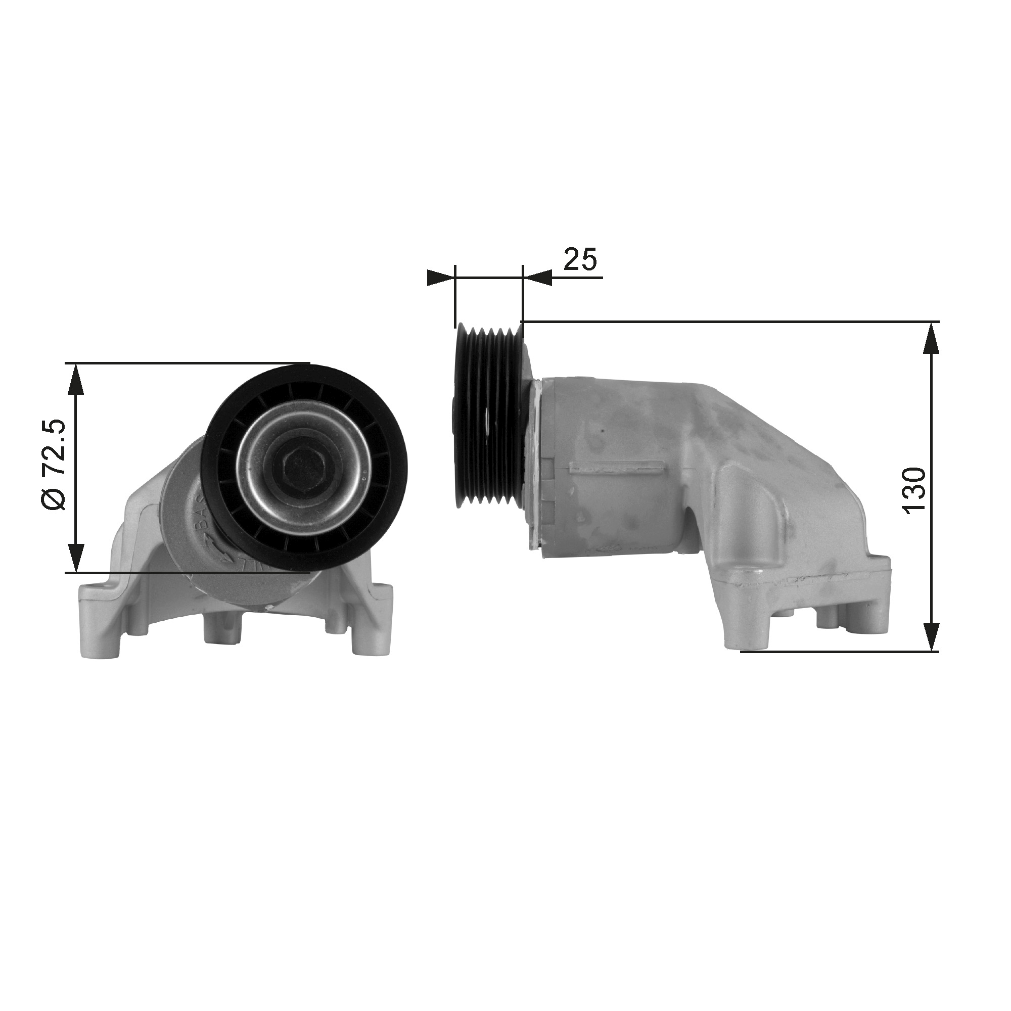 Tendicinghia, Cinghia Poly-V - T38272 GATES