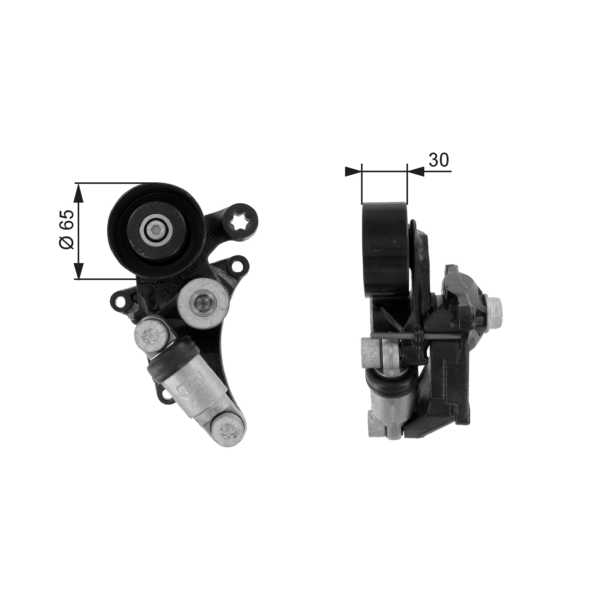 Tendicinghia, Cinghia Poly-V - T38305 GATES