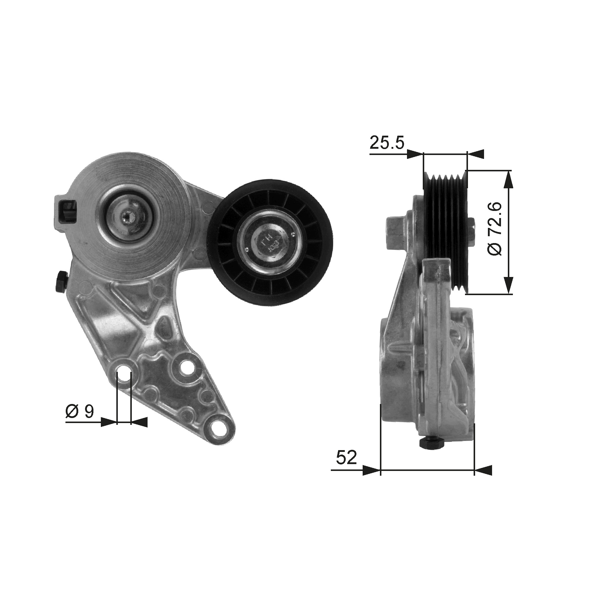Tendicinghia, Cinghia Poly-V - T38377 GATES