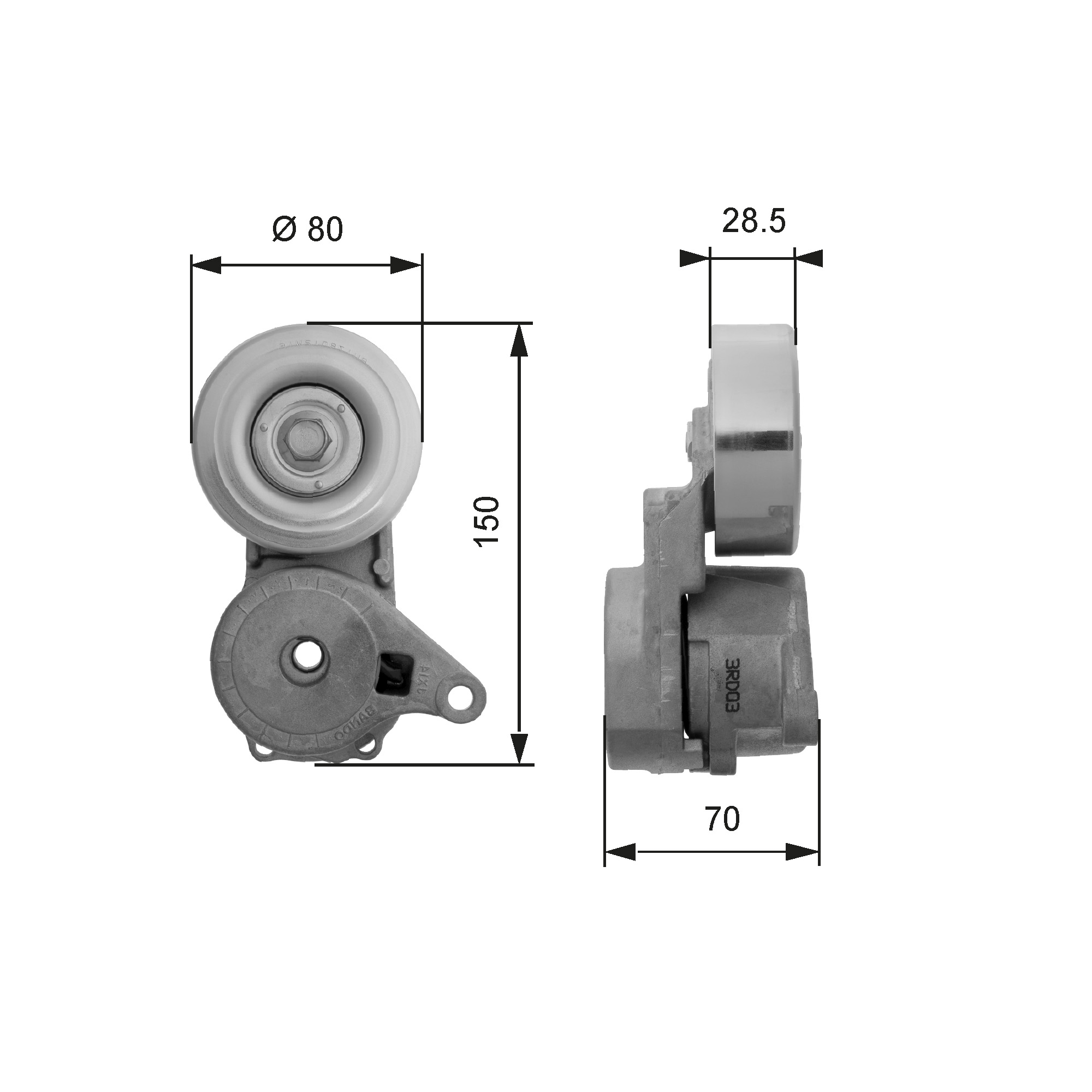 Tendicinghia, Cinghia Poly-V - T38413 GATES