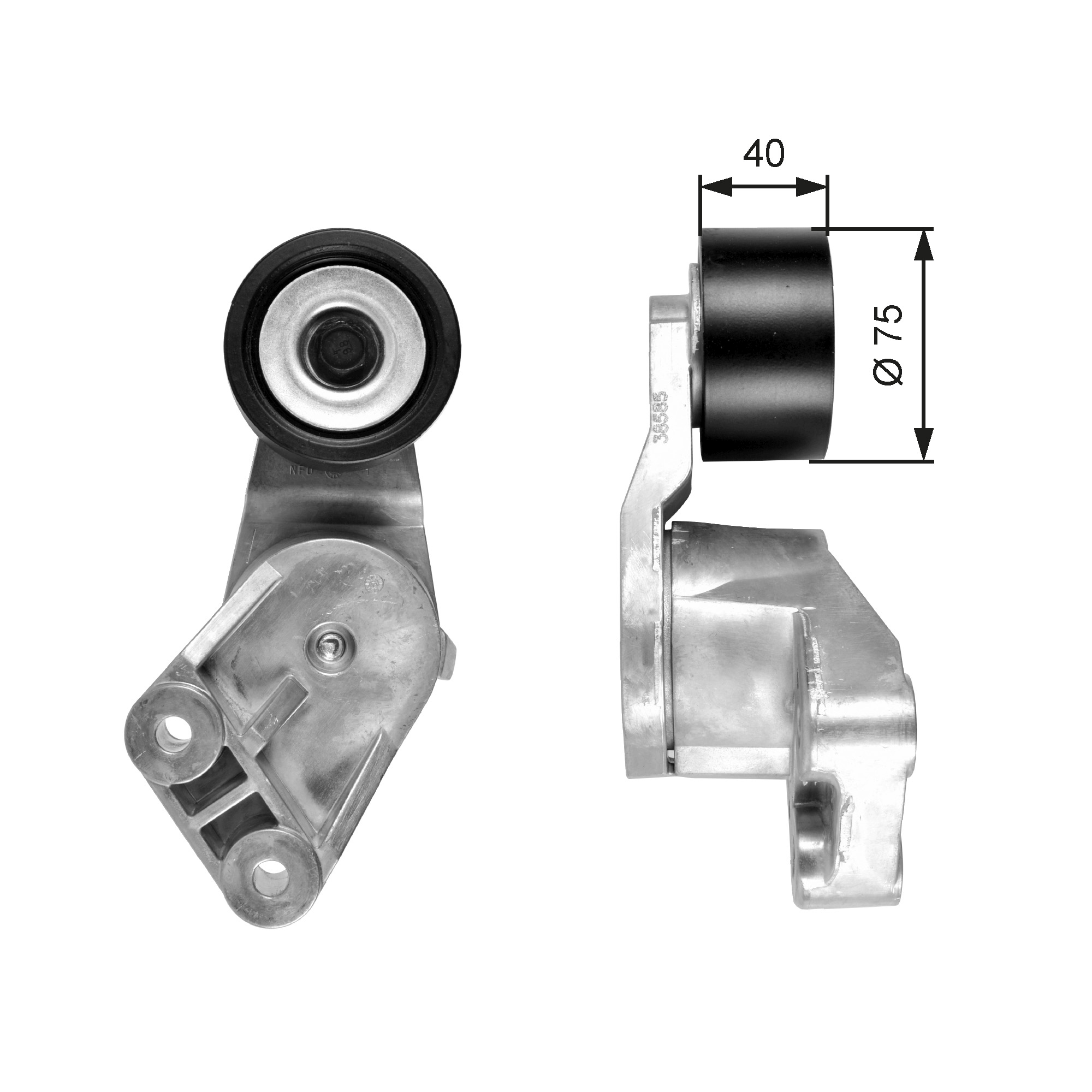 Tendicinghia, Cinghia Poly-V - T38585 GATES