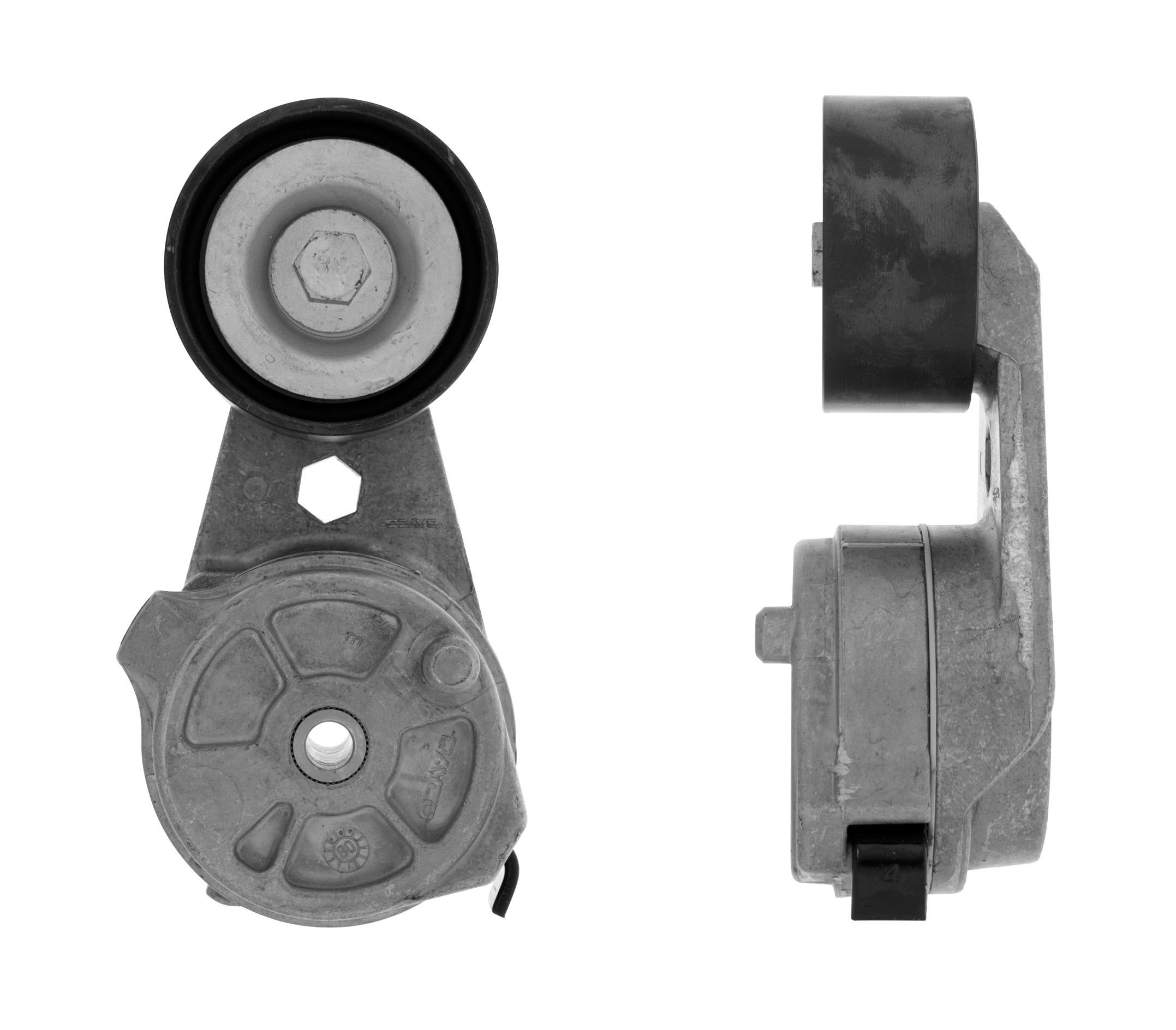 Tendicinghia, Cinghia Poly-V - T38601 GATES