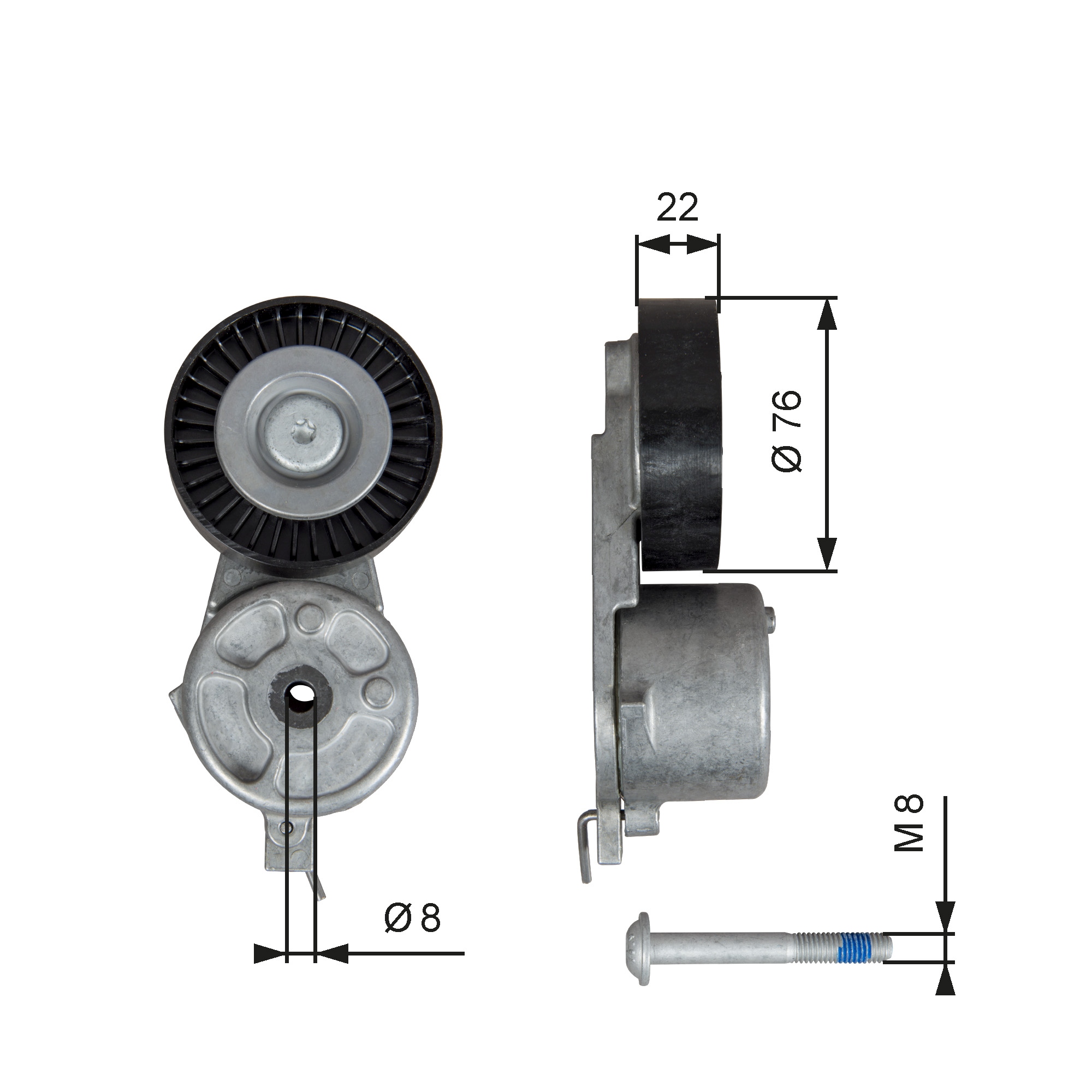 Tendicinghia, Cinghia Poly-V - T39141 GATES