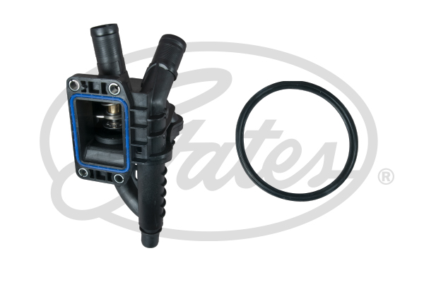 Termostato, Refrigerante - TH58183G1 GATES