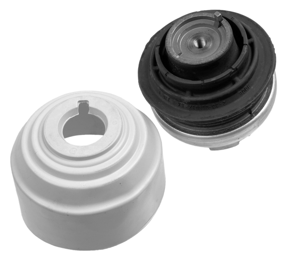 Engine Mounting - 25407 01 LEMFÖRDER