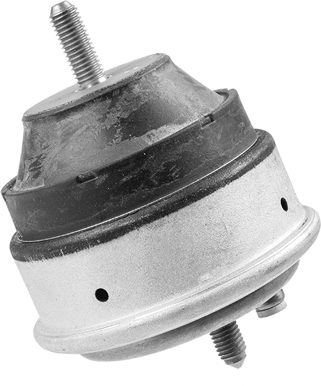 Sospensione, Motore - 30534 01 LEMFÖRDER