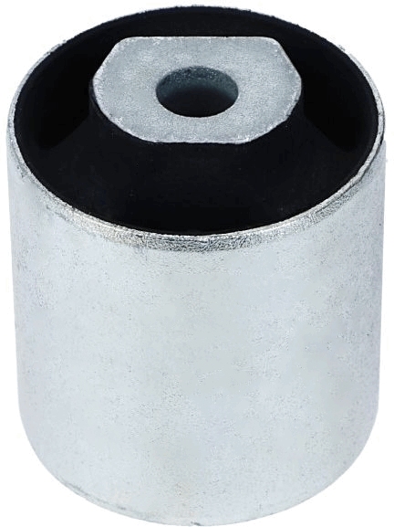 Control Arm-/Trailing Arm Bush - 33731 01 LEMFÖRDER