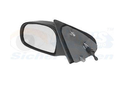 Outside Mirror - 0950803 VAN WEZEL