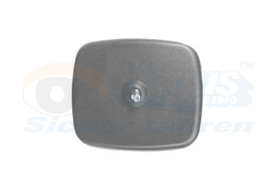 Vetro specchio, Specchio esterno - 3788839 VAN WEZEL