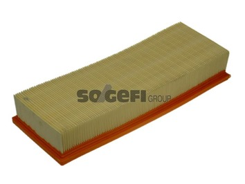 Air Filter - A1094 PURFLUX