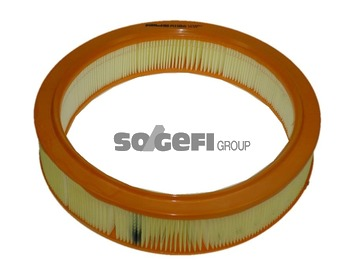 Air Filter - A1106 PURFLUX