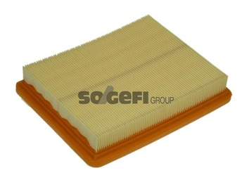 Air Filter - A1175 PURFLUX