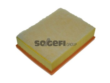 Air Filter - A1203 PURFLUX