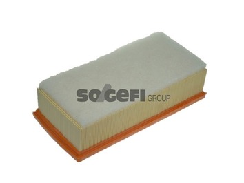 Air Filter - A1244 PURFLUX