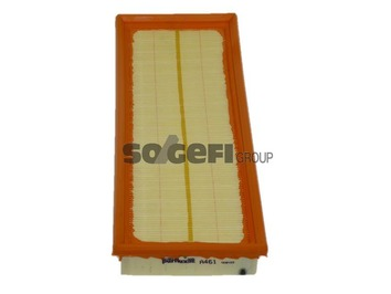 Air Filter - A461 PURFLUX