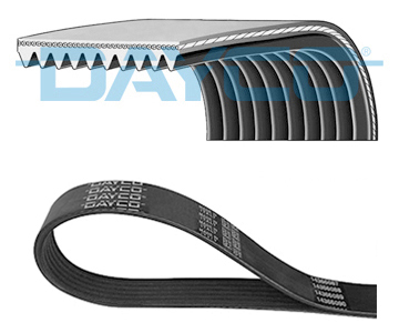 V-Ribbed Belt - 10PK1162HD DAYCO