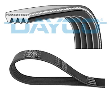 Cinghia Poly-V - 4PK788 DAYCO