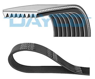 V-Ribbed Belt - 8PK800HD DAYCO