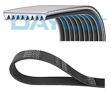 V-Ribbed Belt - 9PK1725HD DAYCO