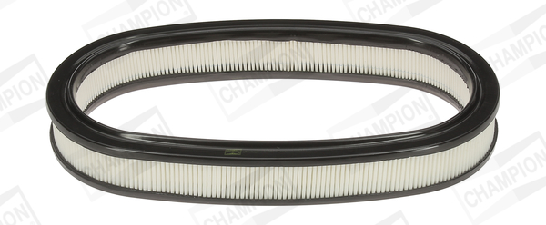 Air Filter - CAF100225R CHAMPION