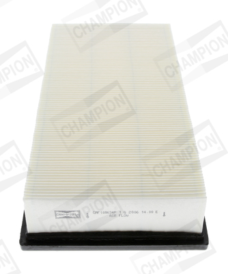Air Filter - CAF100634P CHAMPION