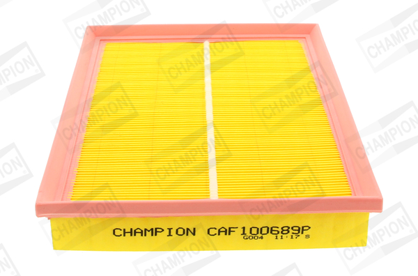 Air Filter - CAF100689P CHAMPION