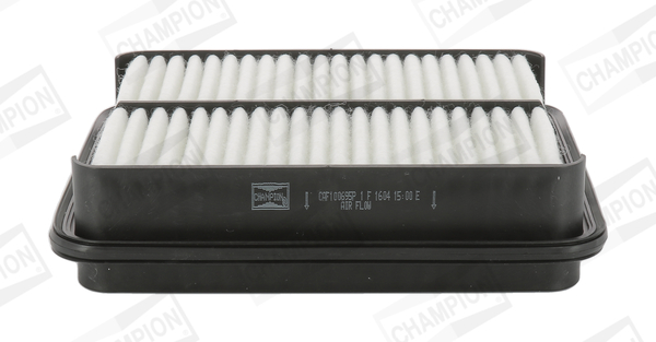Air Filter - CAF100695P CHAMPION