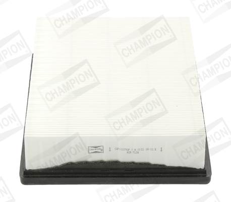 Air Filter - CAF100793P CHAMPION