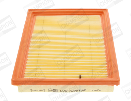 Air Filter - CAF100810P CHAMPION