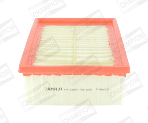 Air Filter - CAF100834P CHAMPION