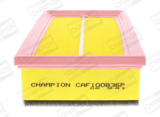 Air Filter - CAF100836P CHAMPION