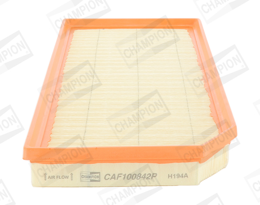 Air Filter - CAF100842P CHAMPION