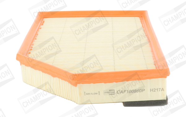 Air Filter - CAF100860P CHAMPION