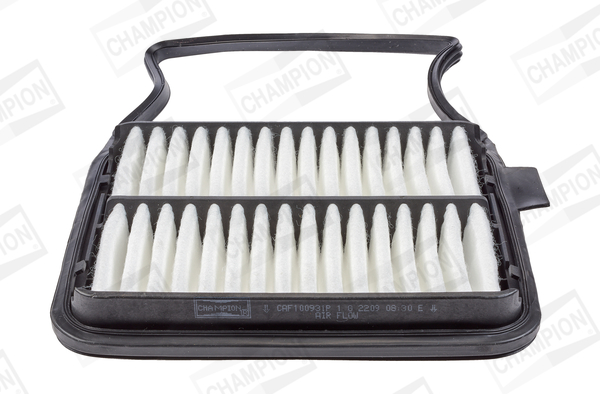 Air Filter - CAF100931P CHAMPION