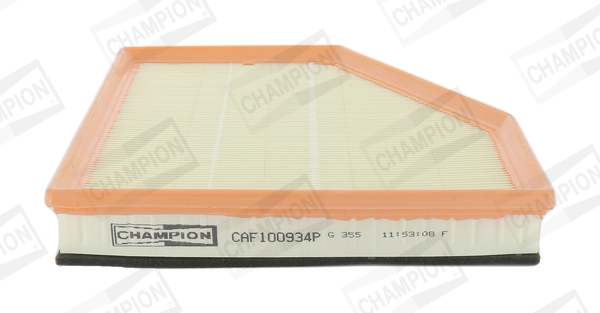 Air Filter - CAF100934P CHAMPION