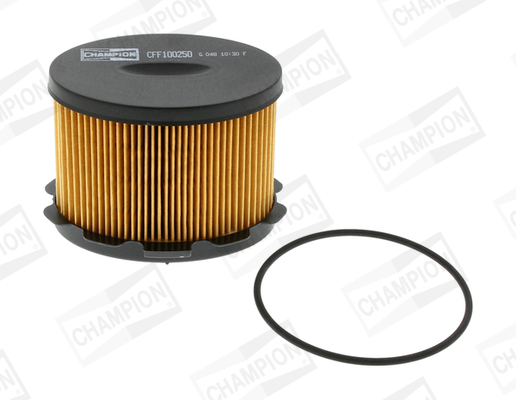 Fuel filter - CFF100250 CHAMPION