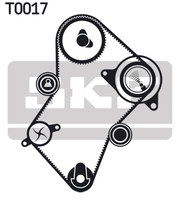 Timing Belt Set - VKMA 03240 SKF